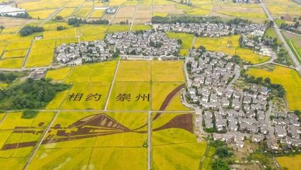 文化賦能，煥新鄉村——崇州入選全省首批文化產業賦能鄉村振興試點縣